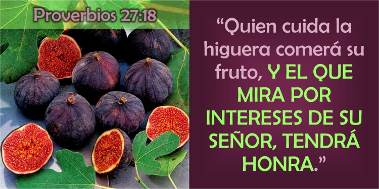 Proverbios 27.18
