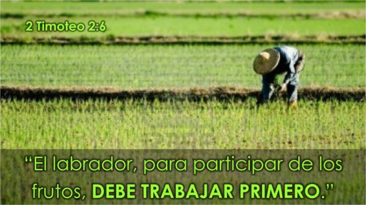 2 Timoteo 2.6