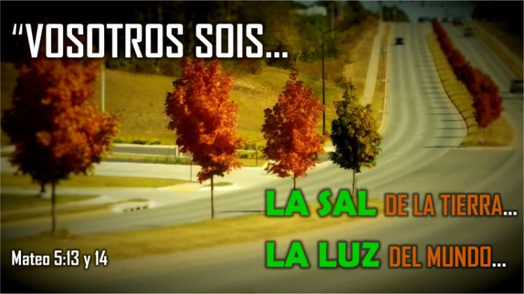 Mateo 5.13-14