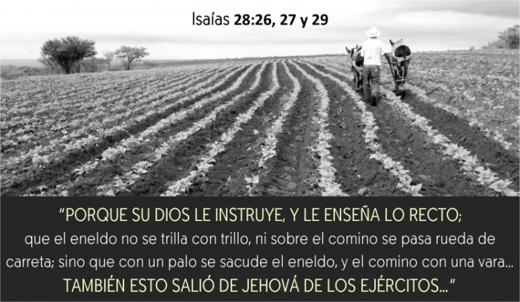 Isaías 28.26-29