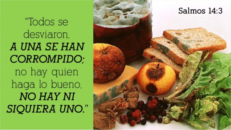 Salmos 14.3