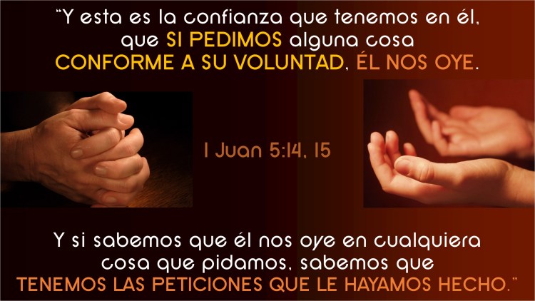1 Juan 5.14-15
