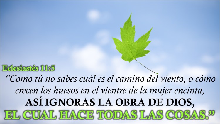 Eclesiastés 11.5