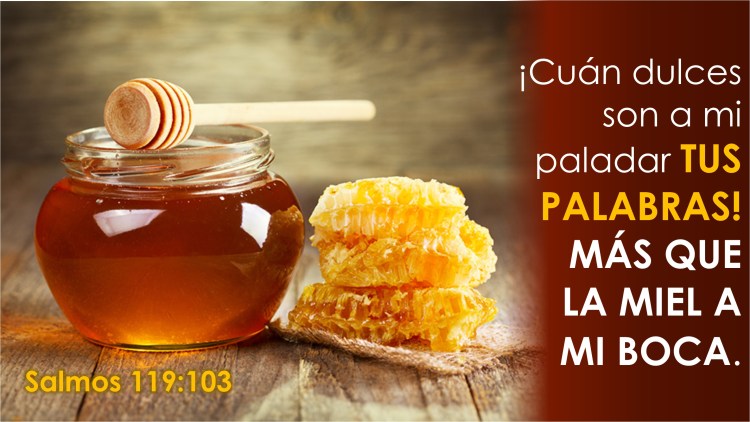 Salmos 119.103