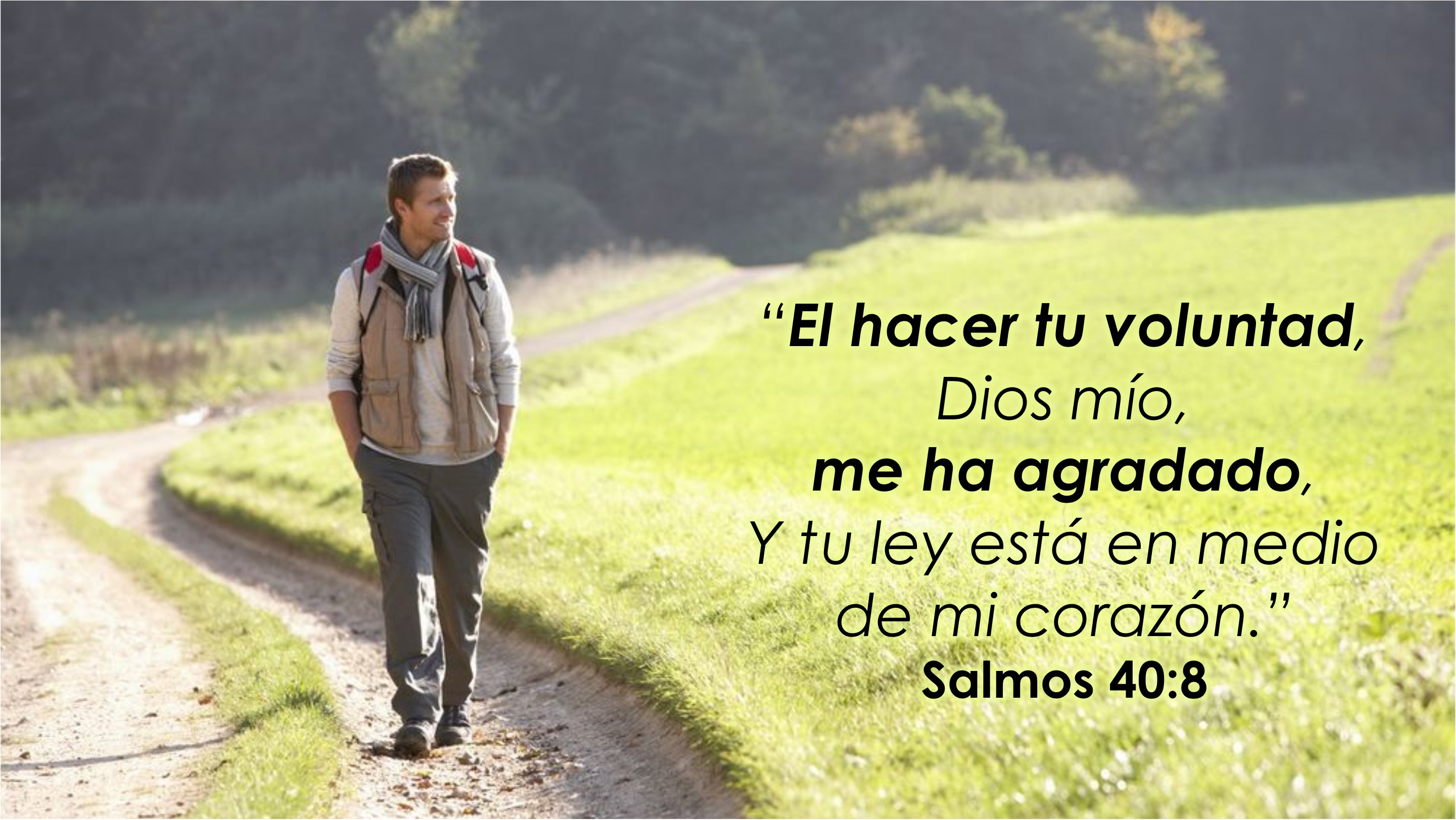 Salmos 40.8