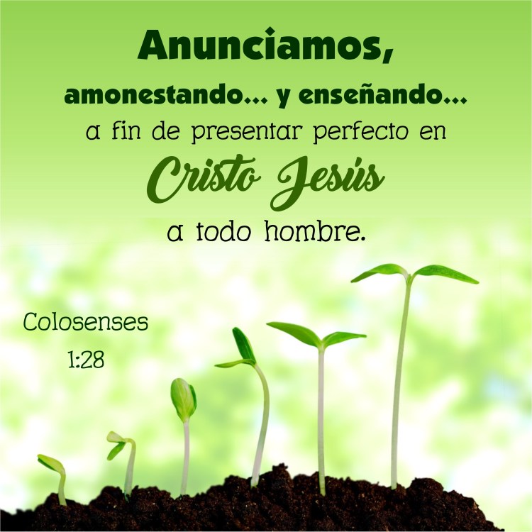 colosenses-1-28-anexo