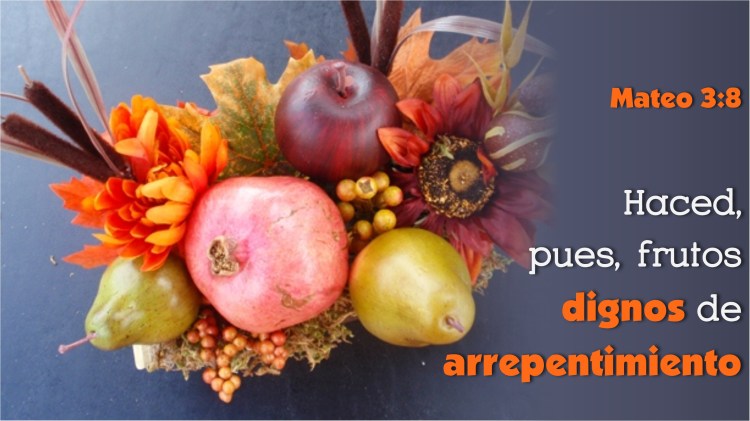 mateo-3-8