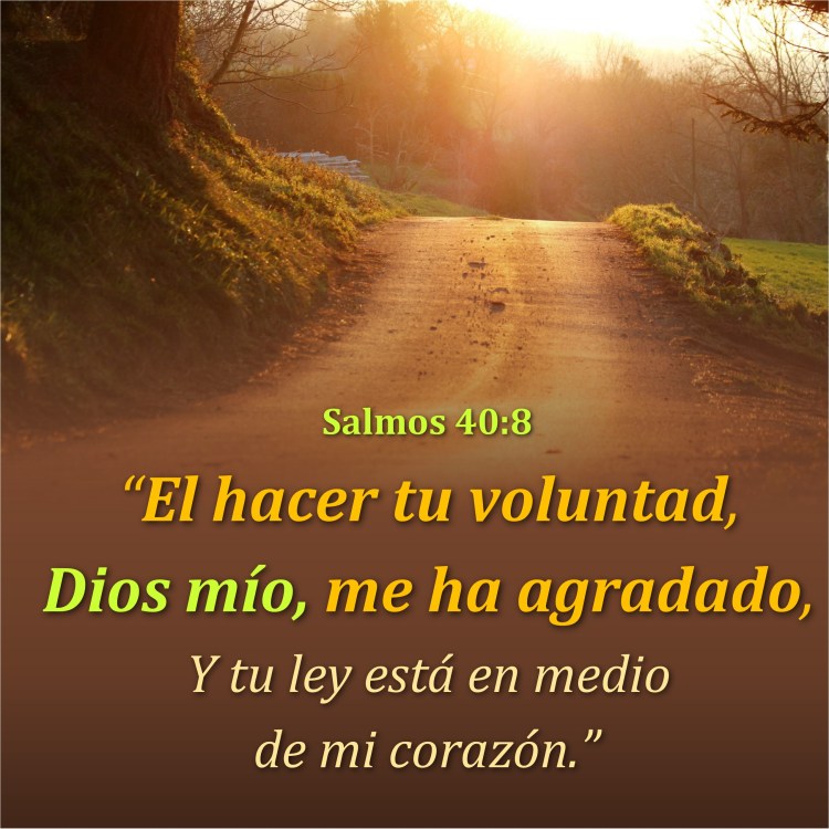 salmos-40-8-anexo