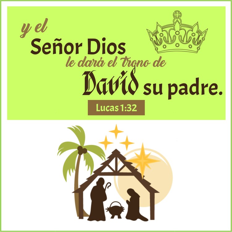 lucas-1-32-anexo