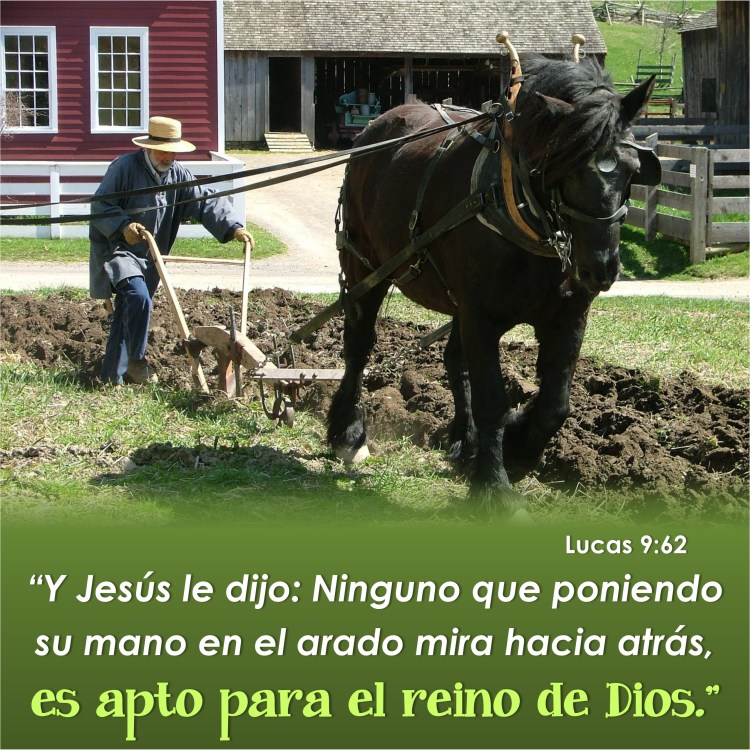 lucas-9-62-anexo