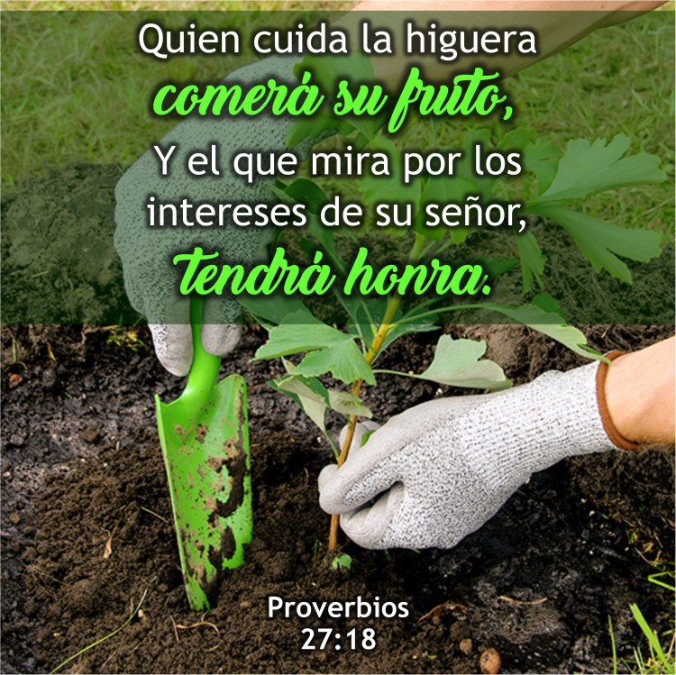 proverbios-27-18-anexo