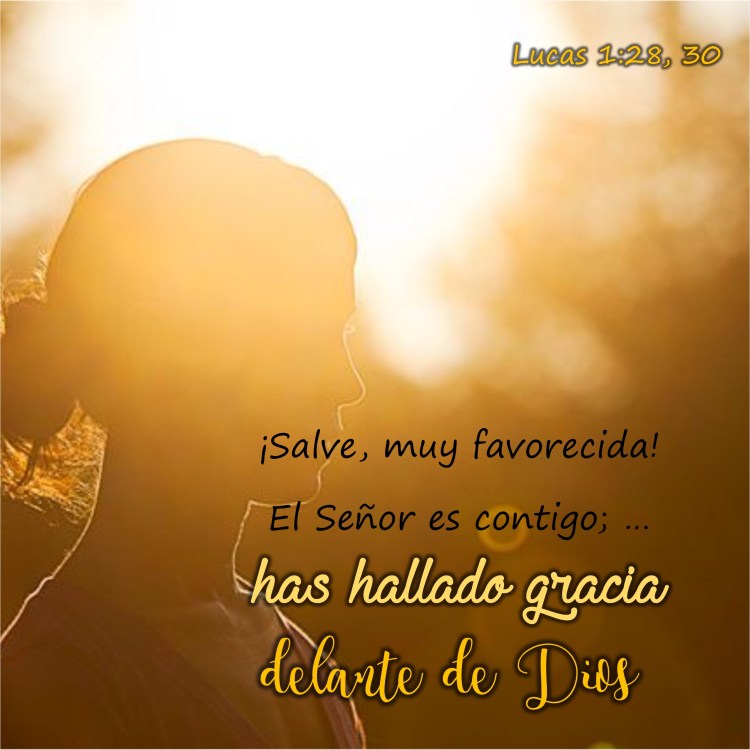 Lucas 1.28 y 30 Anexo