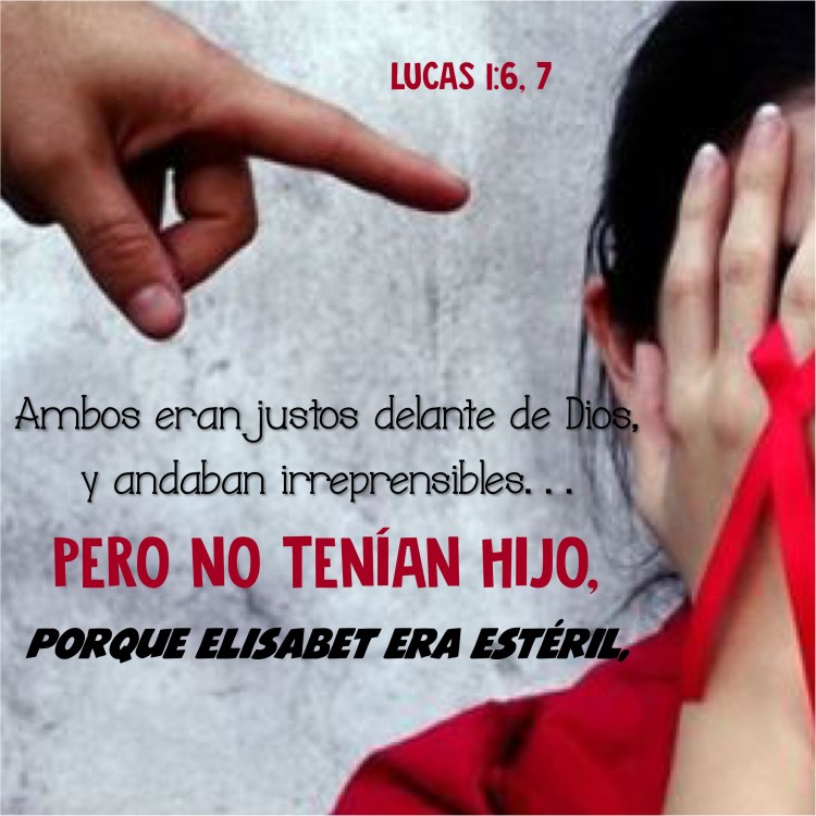 Lucas 1.6 y 7 Anexo