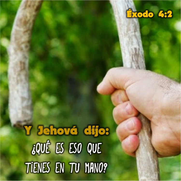 Éxodo 4.2 Anexo