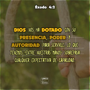 Éxodo 4.2 Color