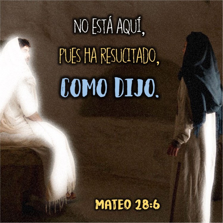 Mateo 28.6 Anexo
