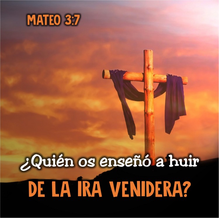 Mateo 3.7 Anexo