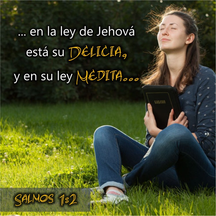 Salmos 1.2 Anexo