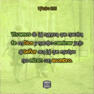 1 Pedro 2.21 Color