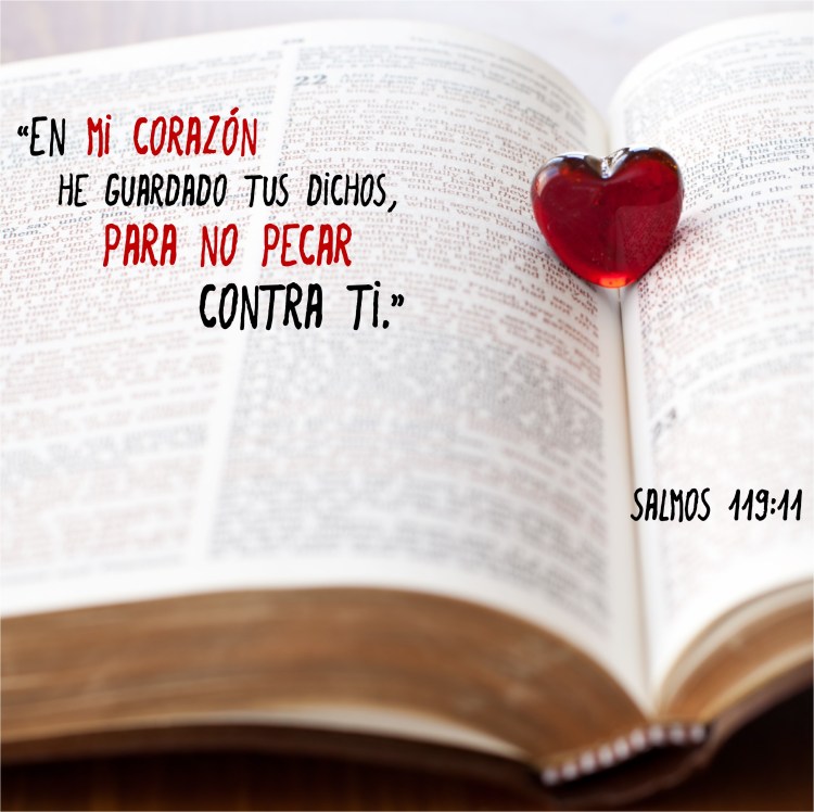 Salmos 119.11 Anexo