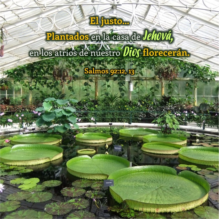 Salmos 92.12, 13 Anexo