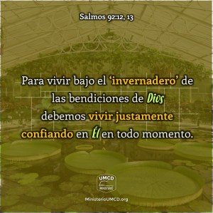 Salmos 92.12, 13 Color