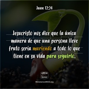 Juan 12.24 Color
