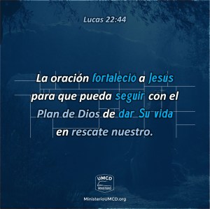 Lucas 22.44 Color