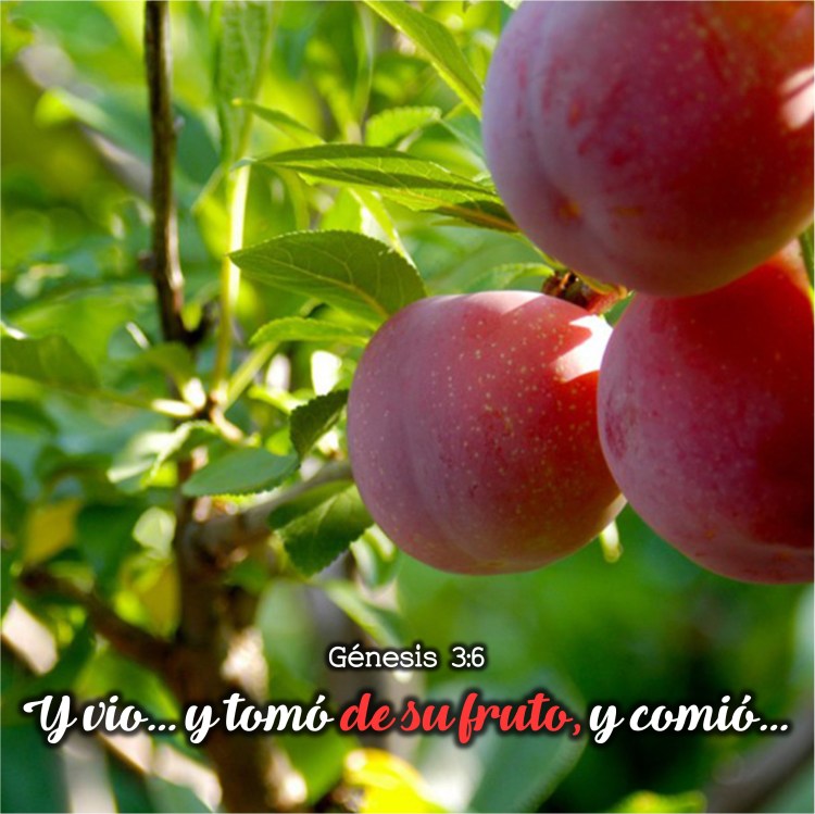 Génesis 3.6 Anexo