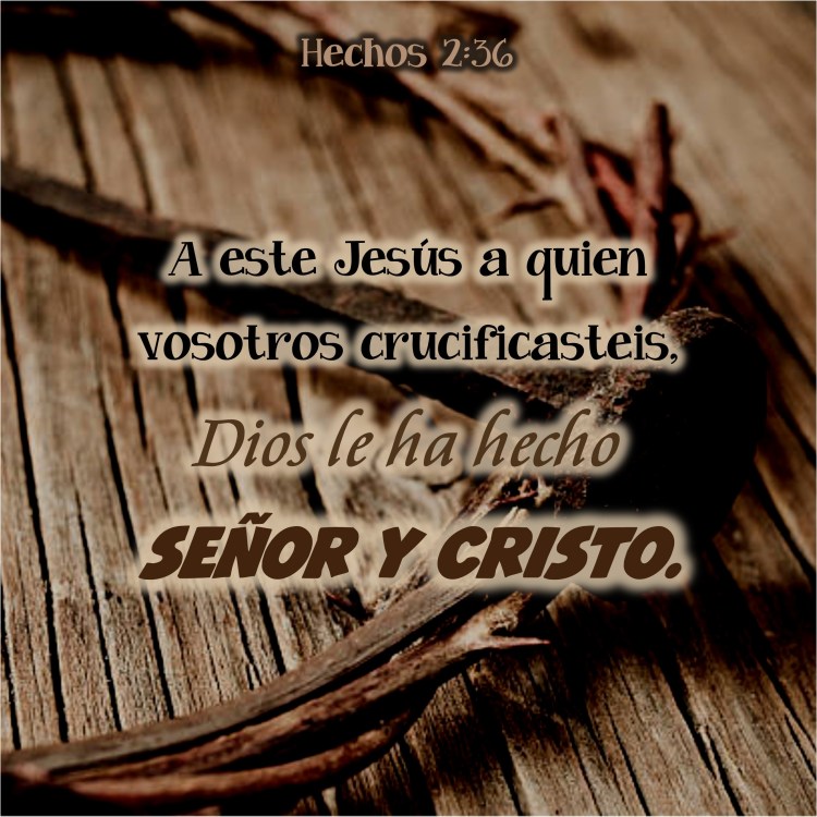 Hechos 2.36 Anexo