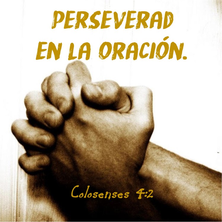 Colosenses 4.2 Anexo