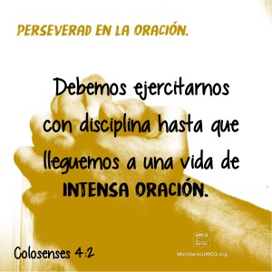 Colosenses 4.2 Color