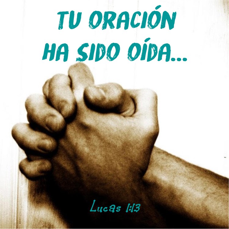 Lucas 1.13 Anexo