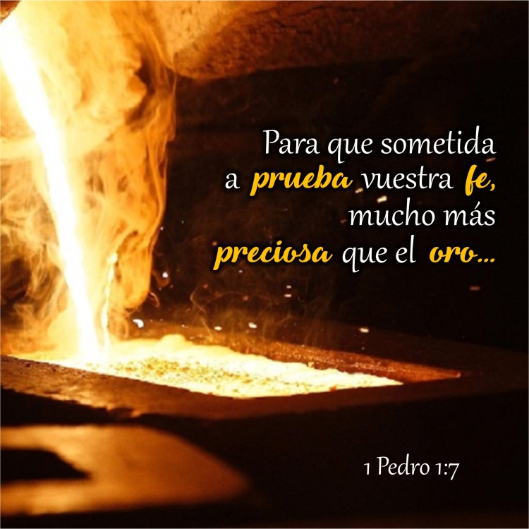 1 Pedro 1.7 Anexo