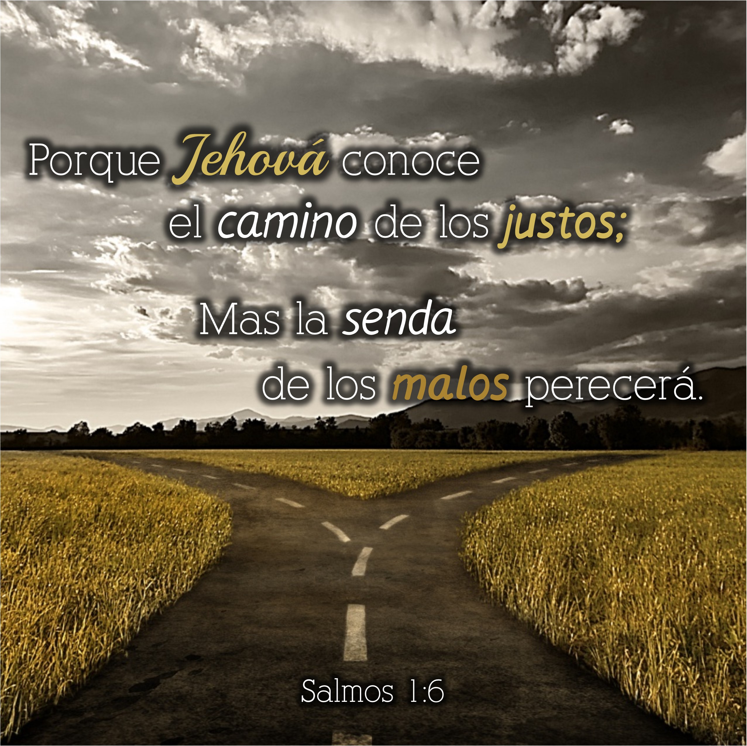 Salmos 1.6 Anexo