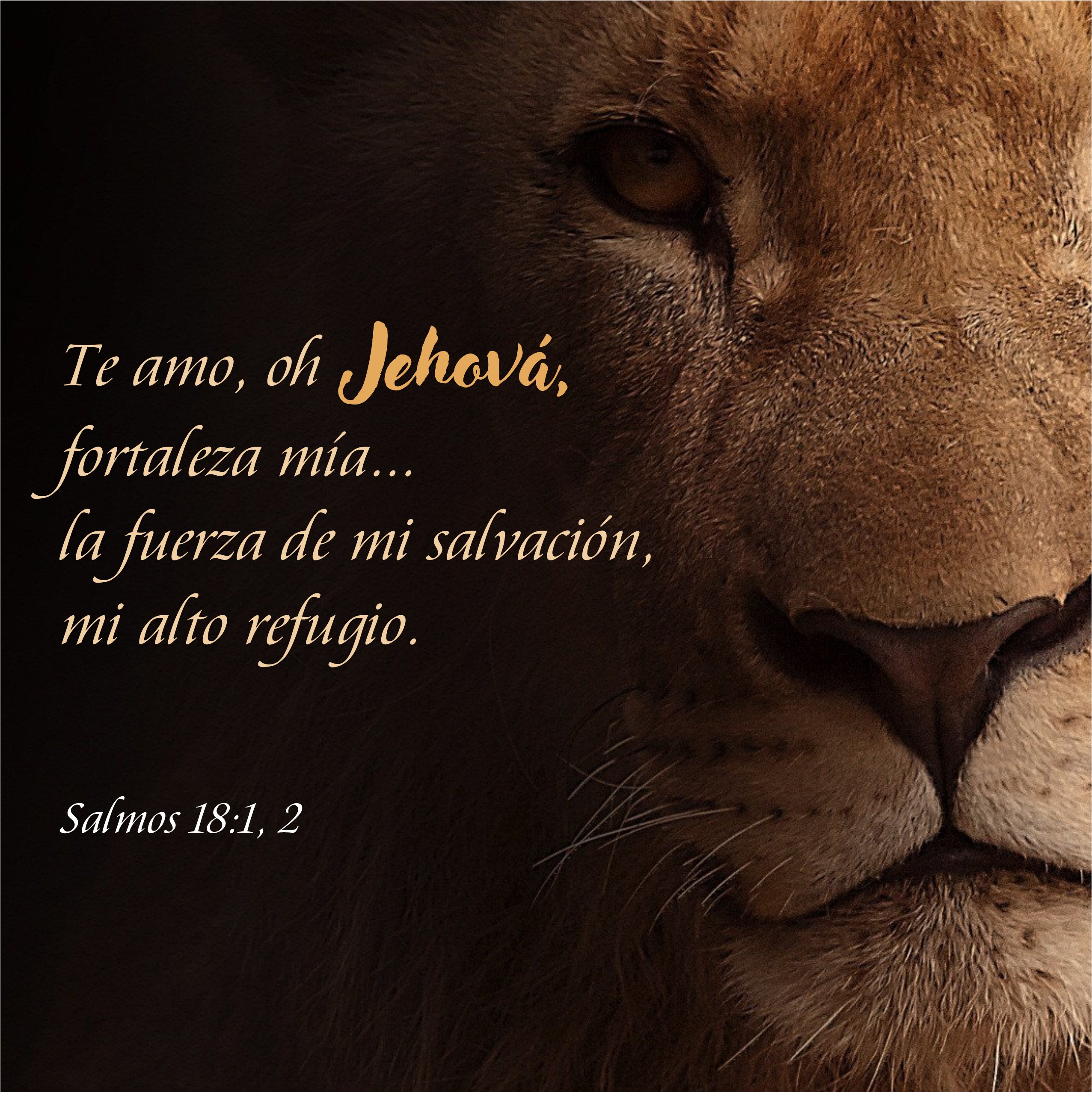 Salmos 18.1, 2 Anexo