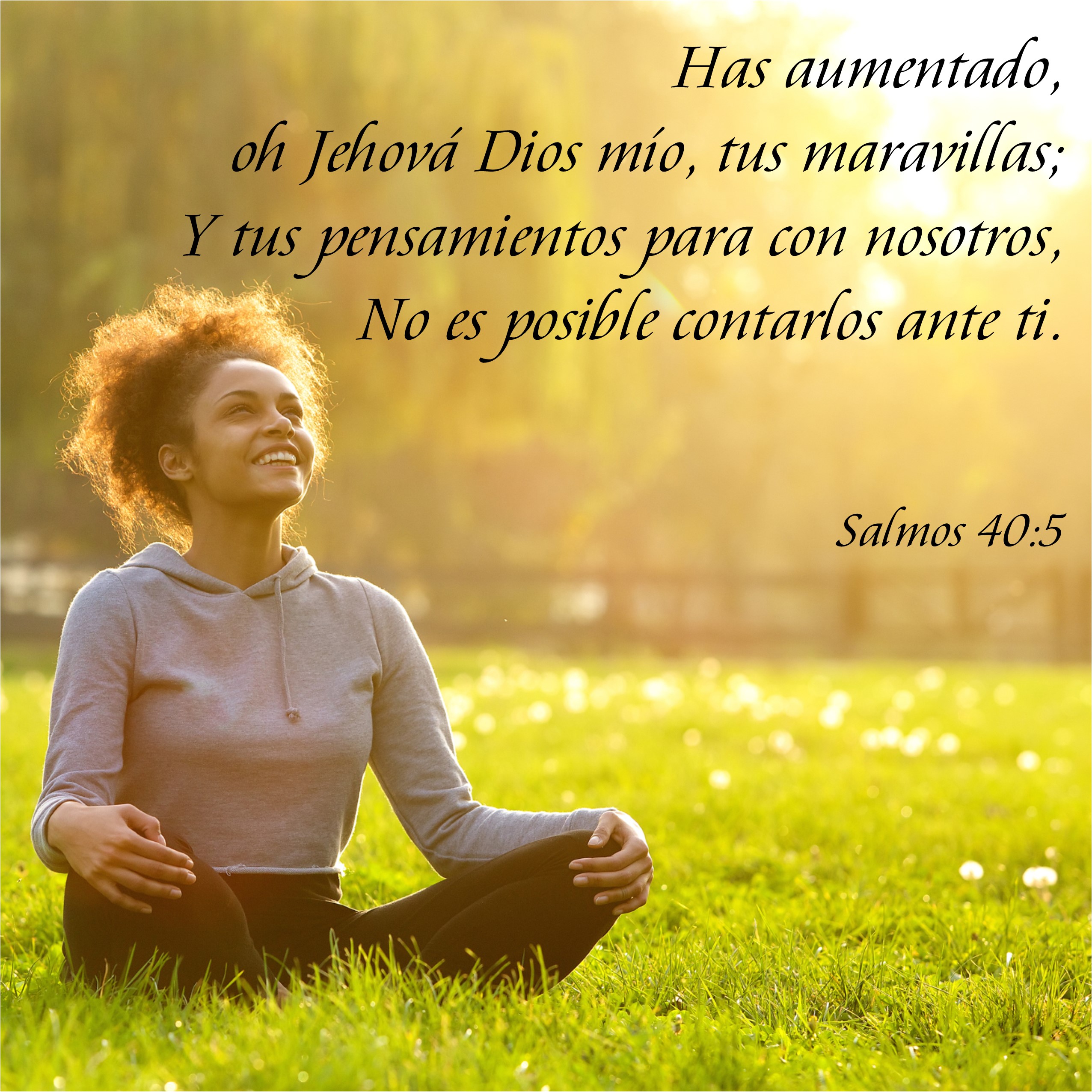 Salmos 40.5 Anexo