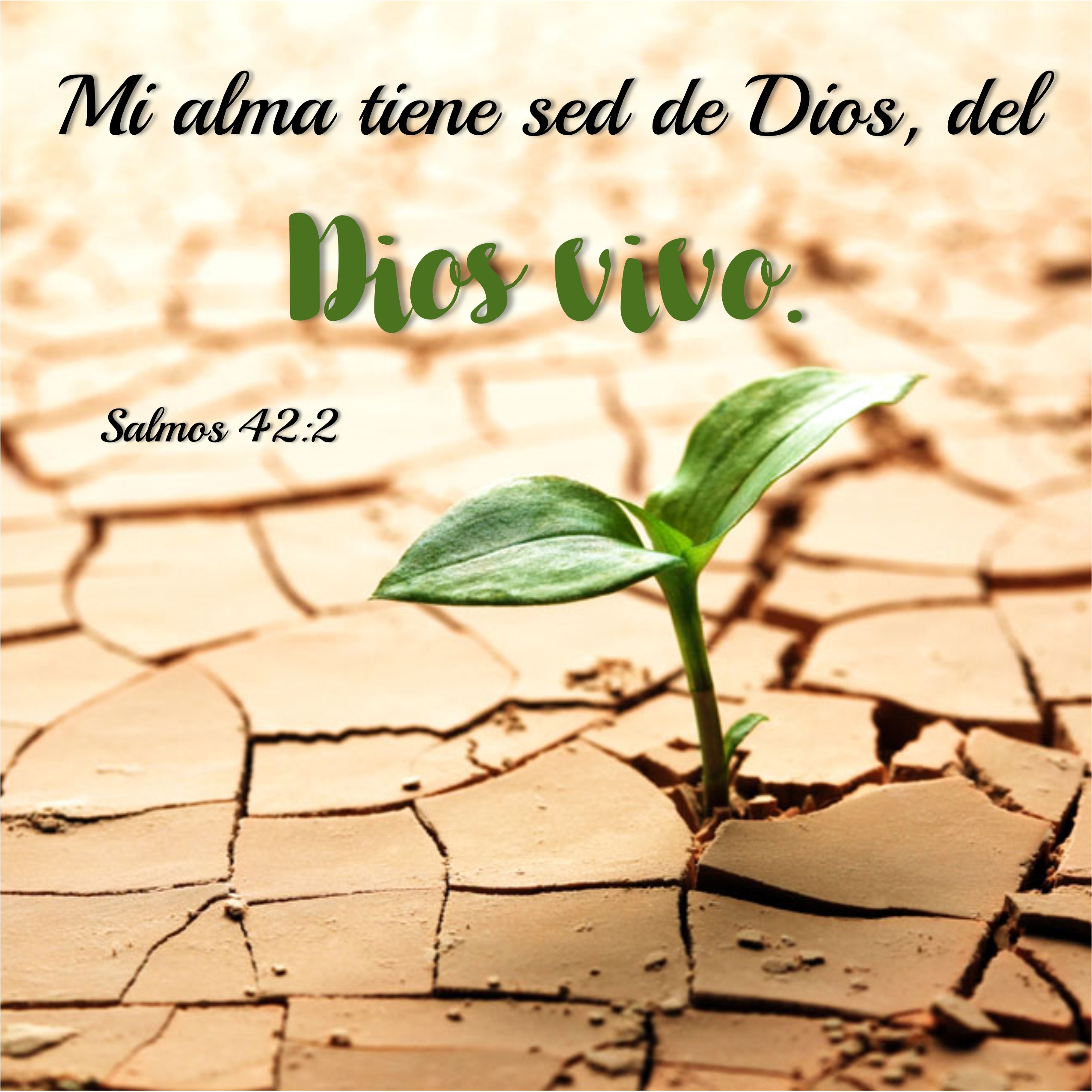 Salmos 42.2 Anexo