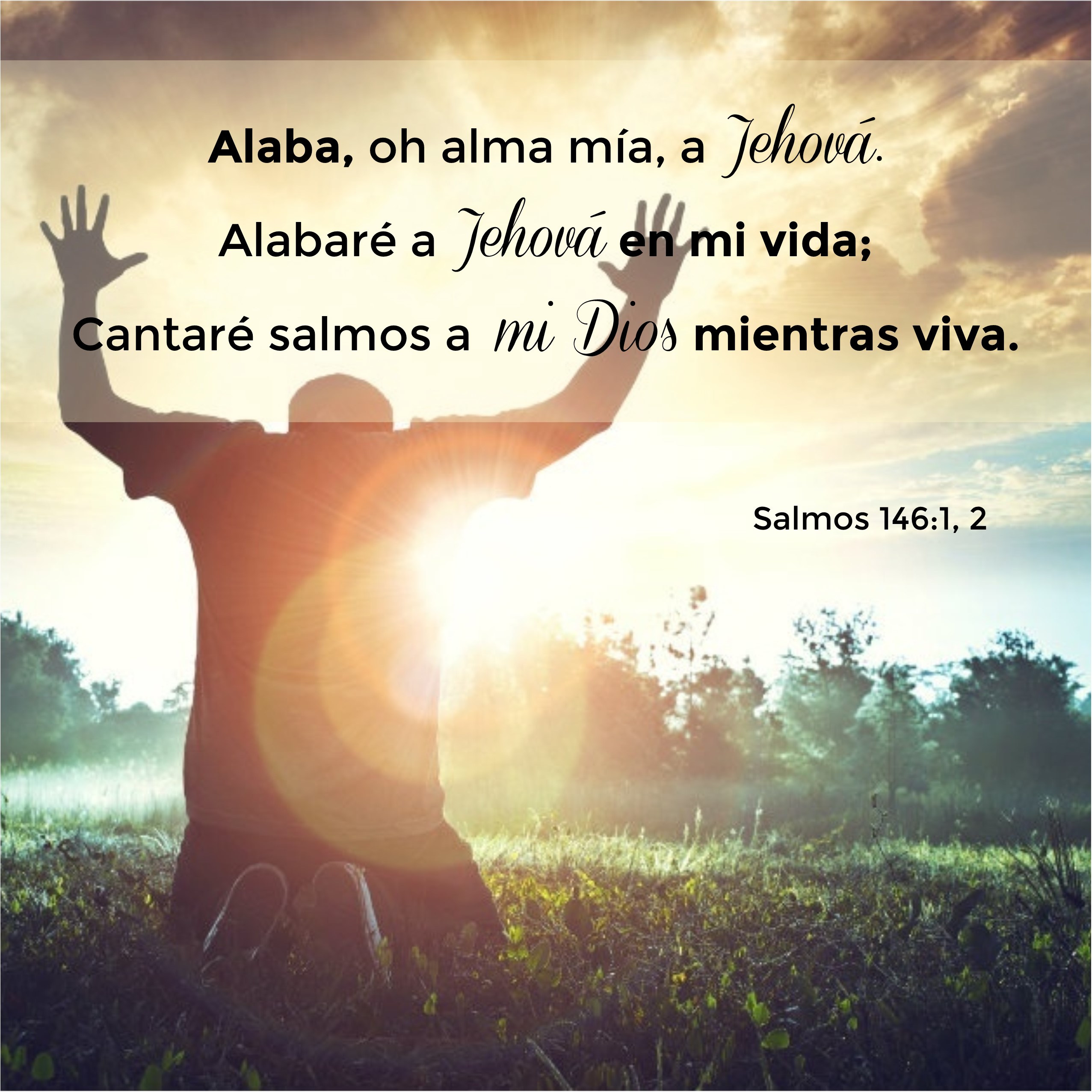 Salmos 146.1, 2 Anexo