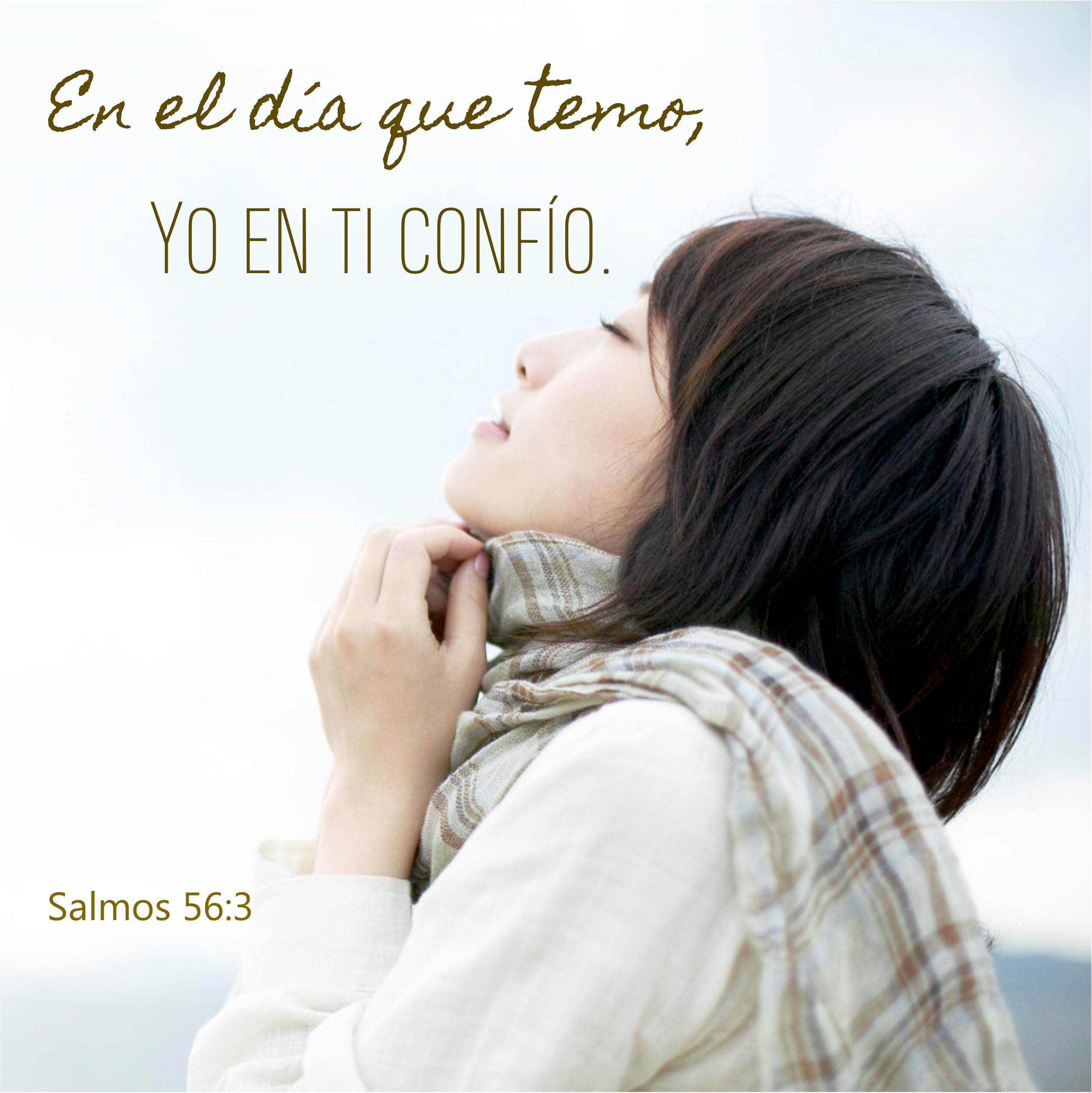 Salmos 56.3 Anexo