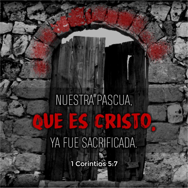 1 Corintios 5.7 Anexo