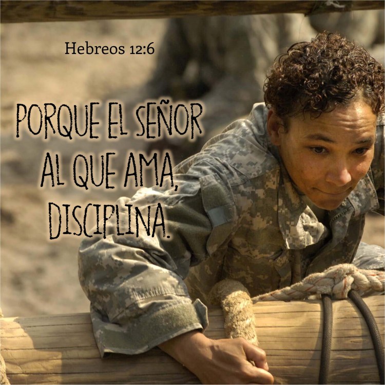 Hebreos 12.6 Anexo