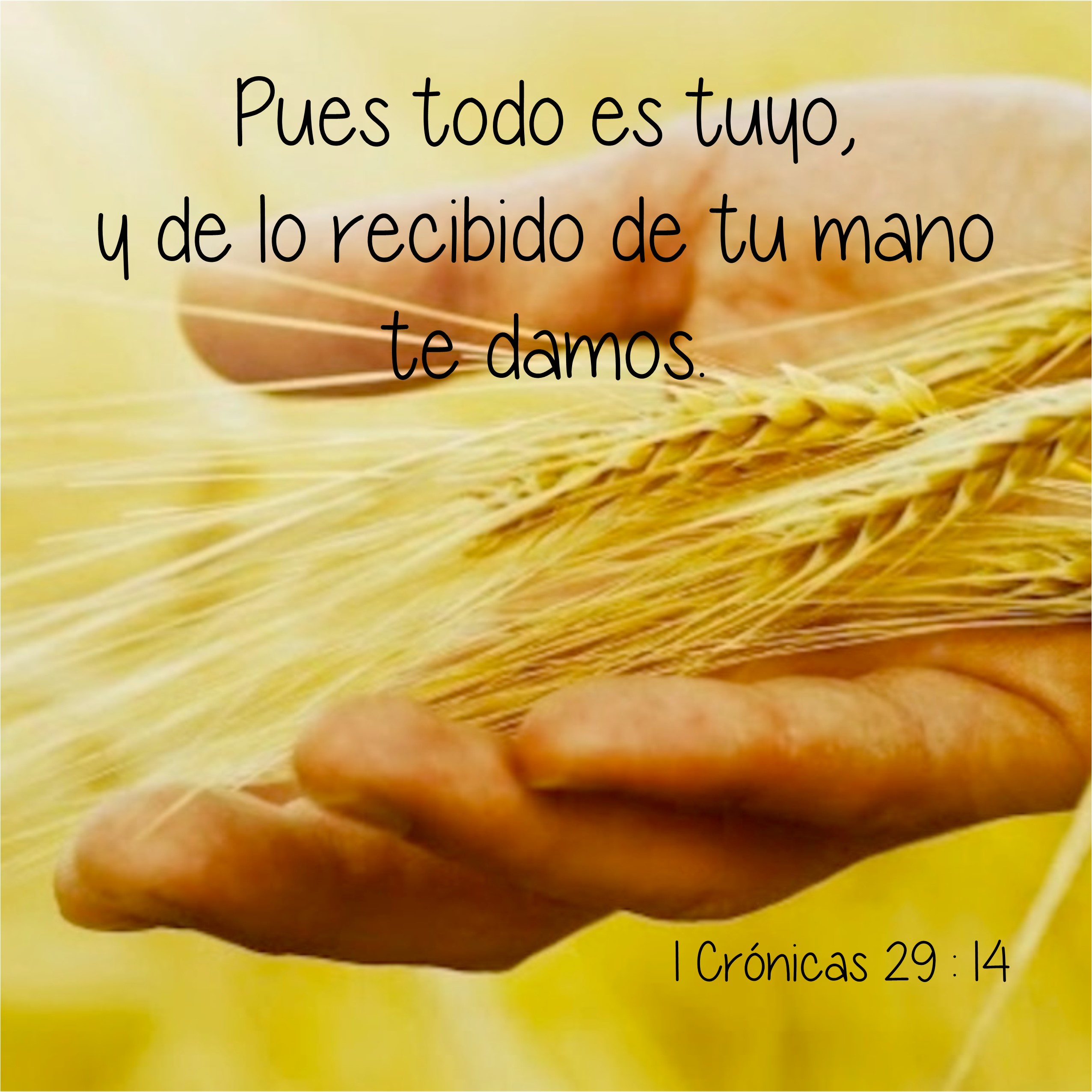 1 Crónicas 29.14 Anexo